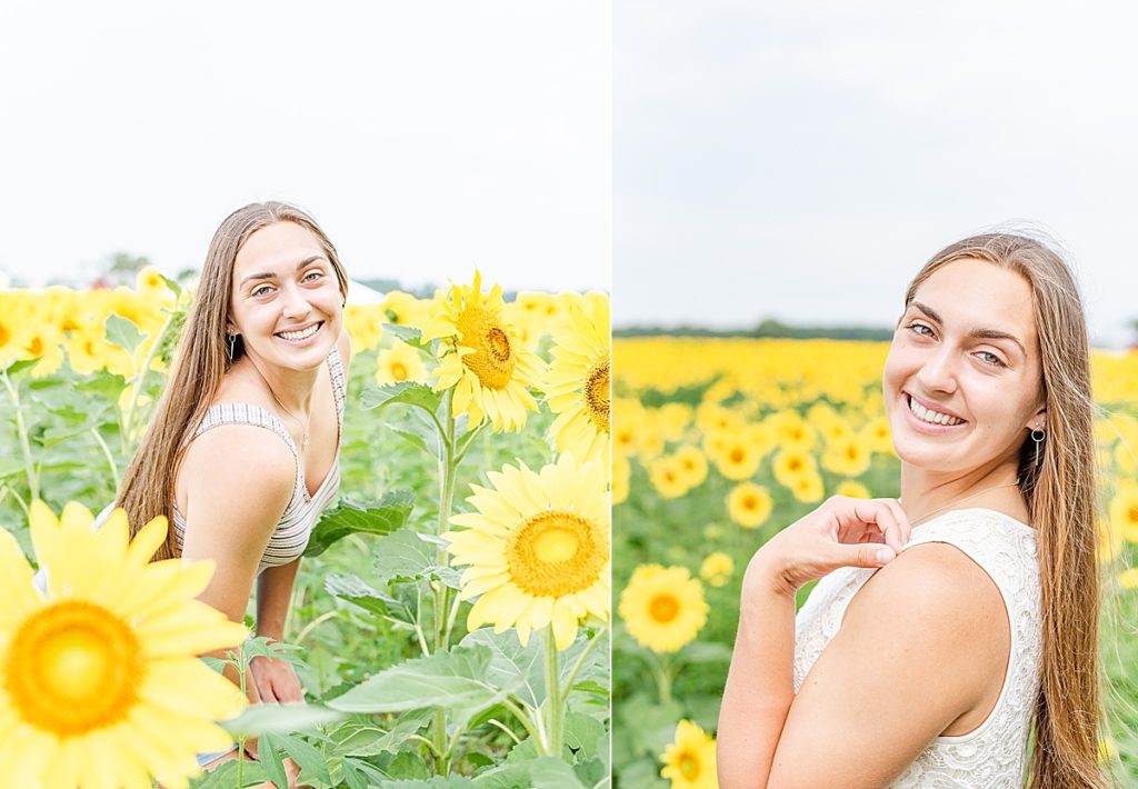 Senior Portraits in a sunflower field in Coldwater, Ohio.