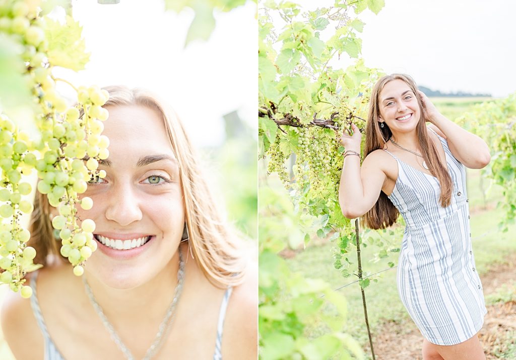 Senior Portraits in a sunflower field in Coldwater, Ohio.
