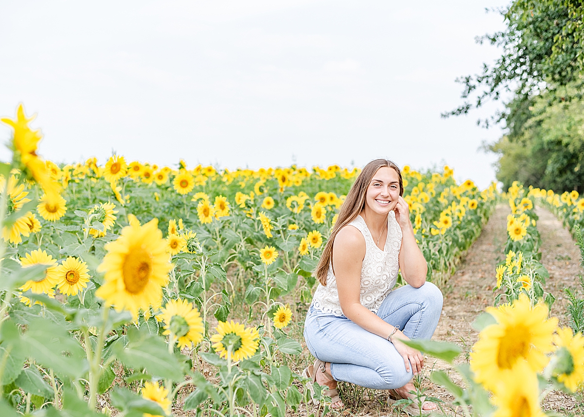 Senior Portraits in a sunflower field in ohio.
